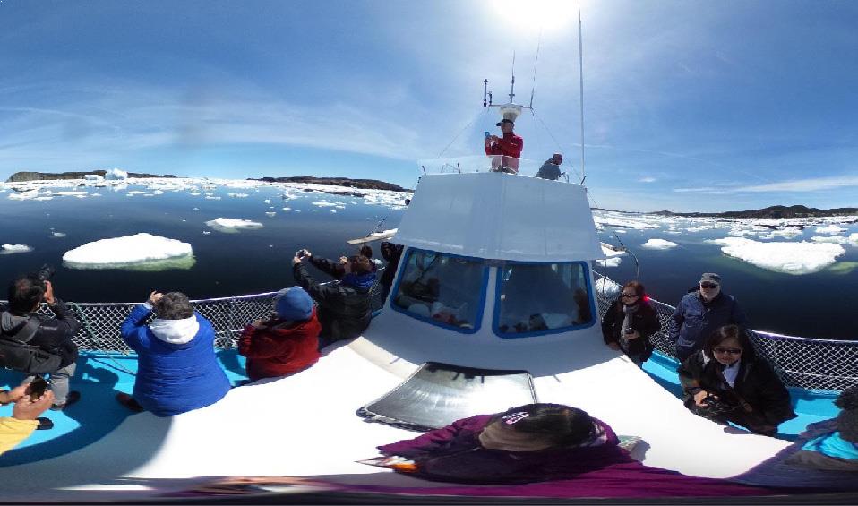 ship and icebergs in newfoundland